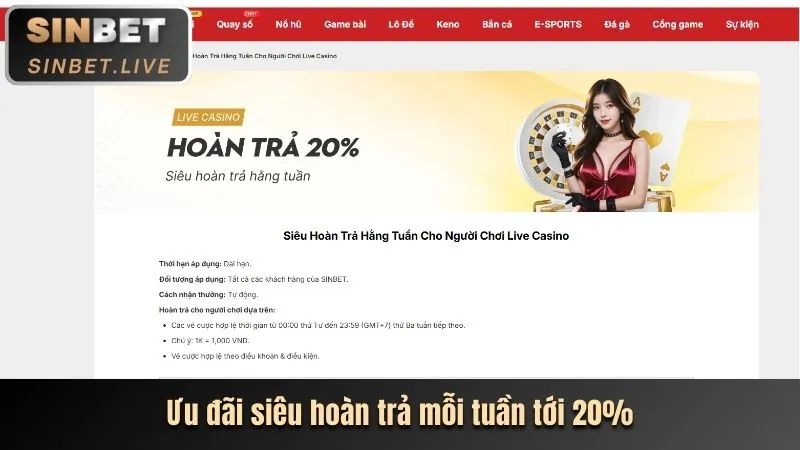Ưu đãi độc quyền cho thành viên mới 2026